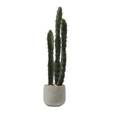 Cactus in vaso di ceramica 80cm